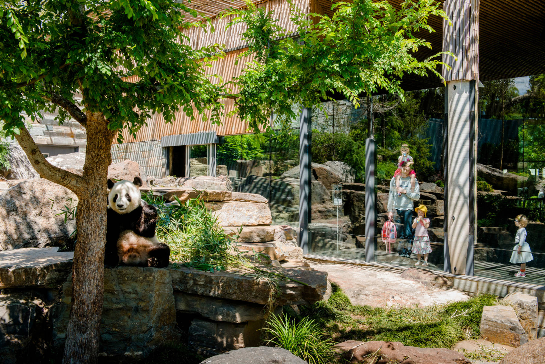 Attractions Adelaide Zoo 